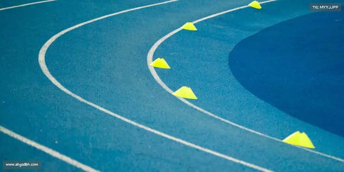 cn南宫——共筑体育梦，一起向未来！⚽✨